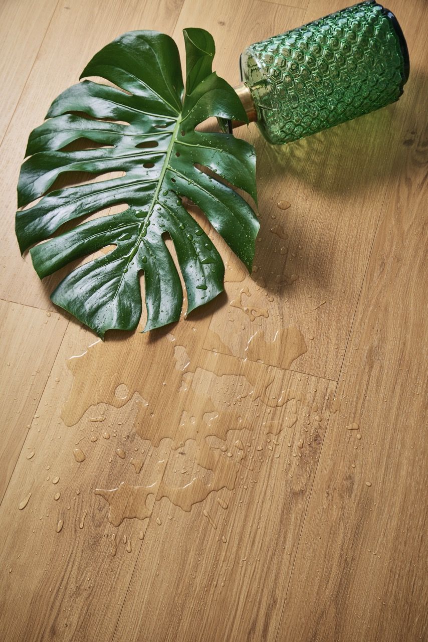 Une grande feuille verte est posée sur un sol en bois, avec de l'eau renversée autour.