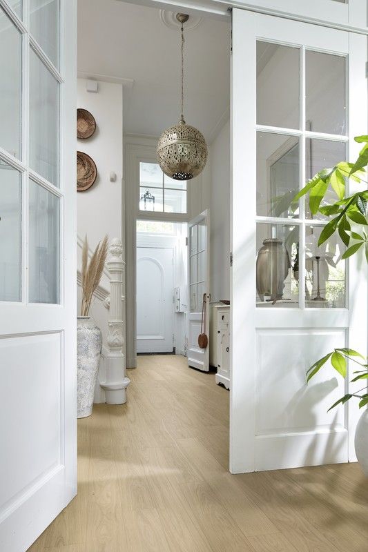 Entrée lumineuse avec des portes vitrées, un sol en bois, des plantes et des décorations murales.